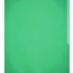 Durable STANDARD Pockets 100 Green (100)