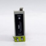 Comp Epson T1001 Black Ink Ctg T10014010